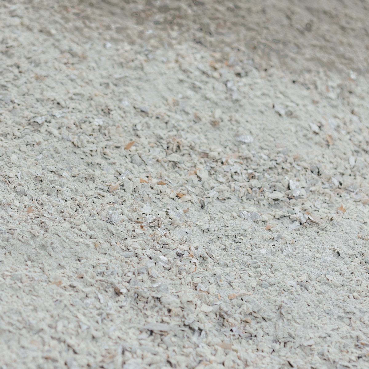 Web ISOLA 25102021 91