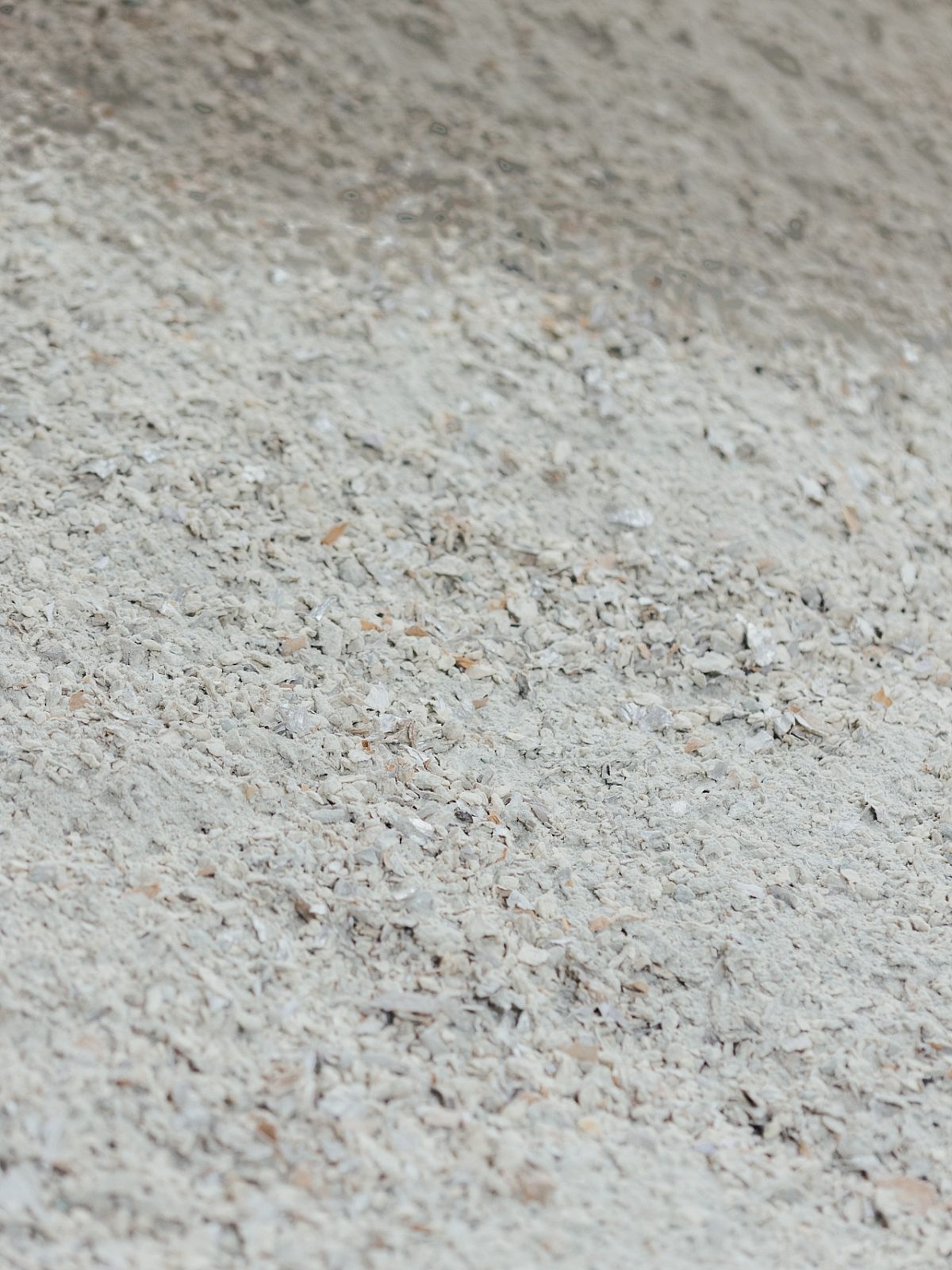 Web ISOLA 25102021 91