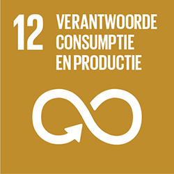 12 Verantwoorde consumptie en productie